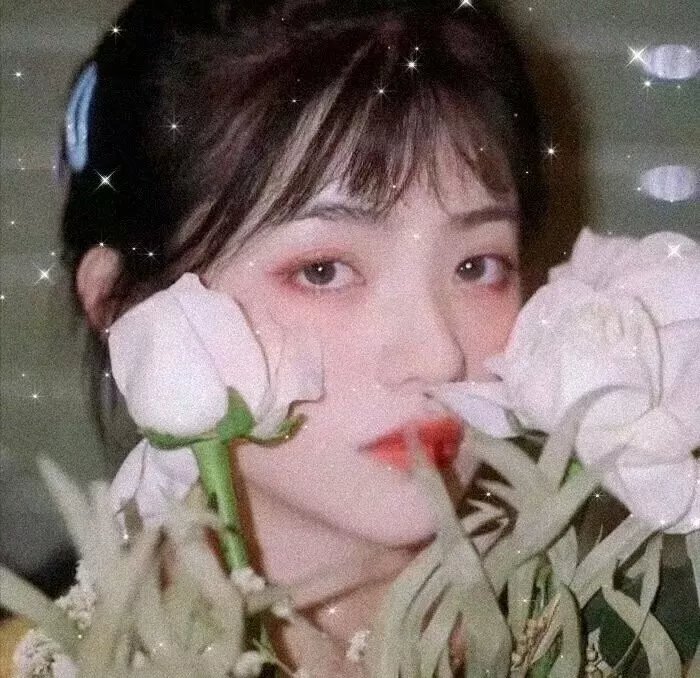 虚假的借口
